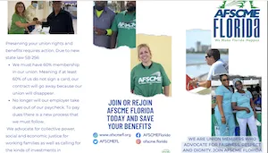 white_region_3_trifold.png
